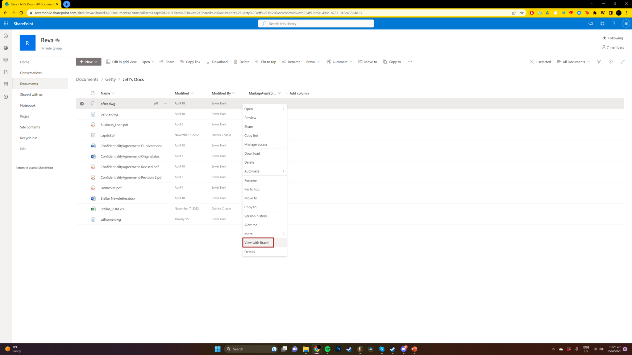 Brava! view option within SharePoint